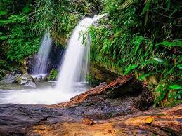 El Yunque National Forest